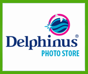 Delphinus Coupon Codes