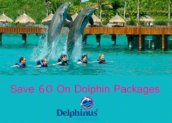 Delphinus Coupons